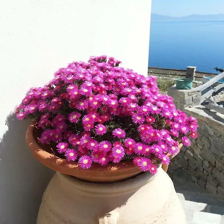 Aegean View - Seaside In Syros بيت للعطل أزوليمنوس